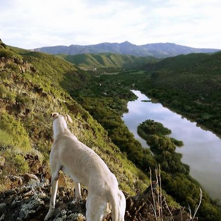 River View Cottages Калицдорп Екстериор снимка